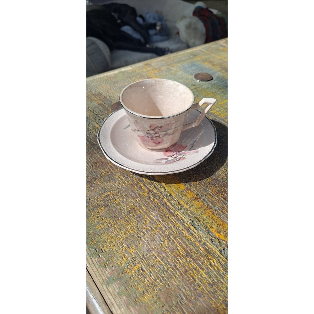 Edwin M Knowles Alice Annslow Pink Floral Cup & Saucer